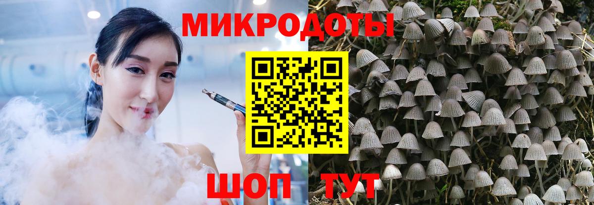Псилоцибиновые грибы мухоморы Ликино-Дулёво